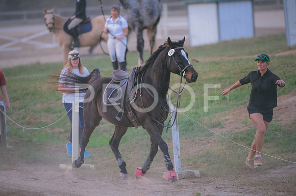 JJS_3838