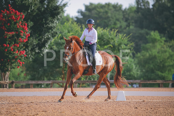 RWP_4278