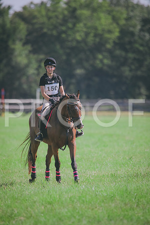 RWP_6287