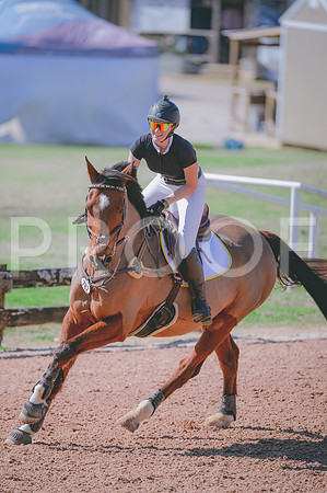 JJS_3366
