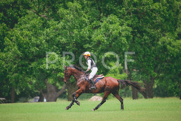 RWP_2323