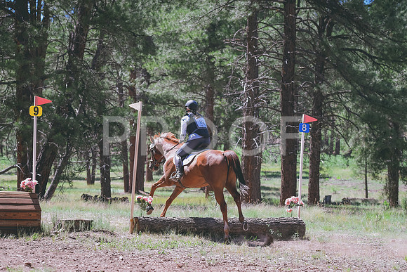 DSC_1261