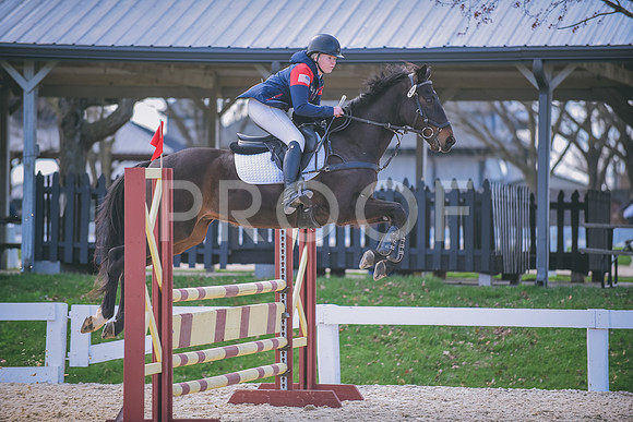 DSC_1517 copy