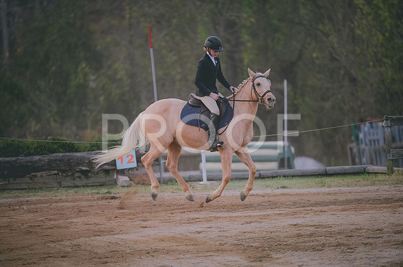 JJS_4022
