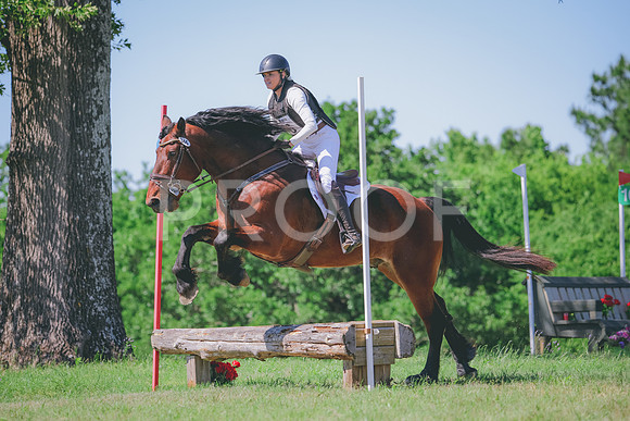 RWP_1247