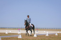 CLSL7301