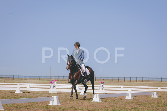 CLSL7301