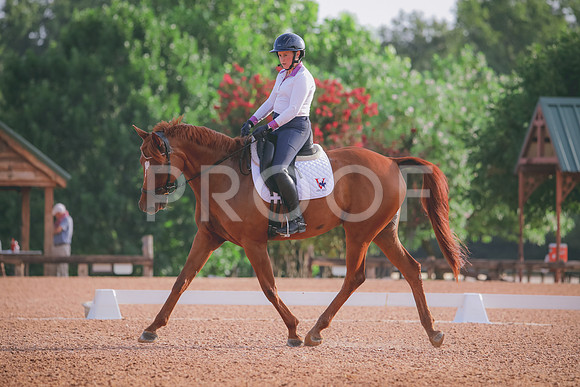 RWP_4272
