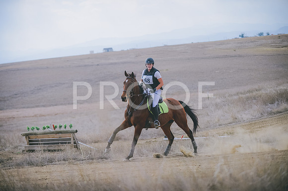 JJS_1345