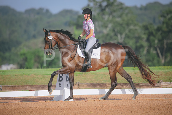 RWP_4345