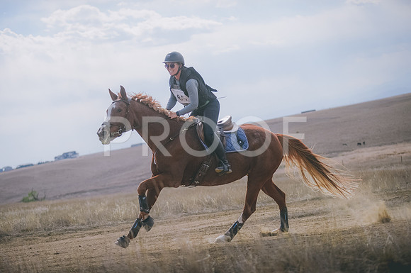 JJS_0833