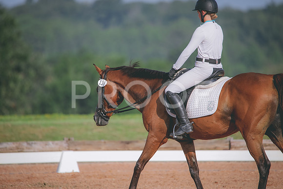 RWP_4469