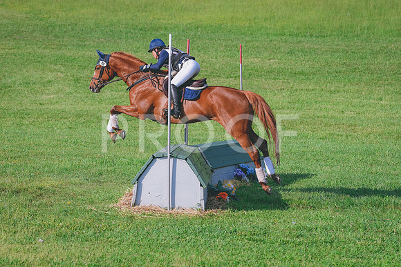 DSC_3049