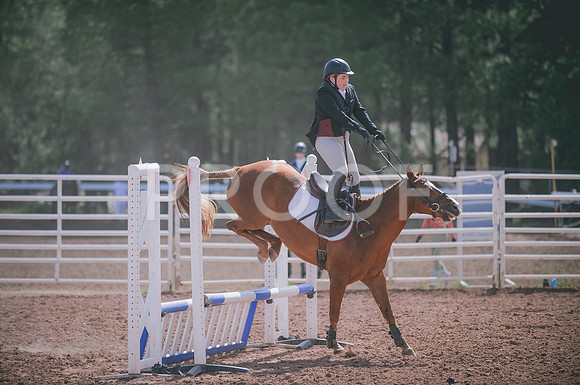 JJS_7346