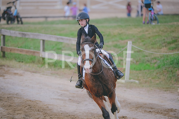 JJS_3443