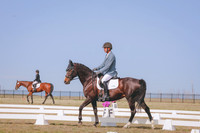 CLSL7311