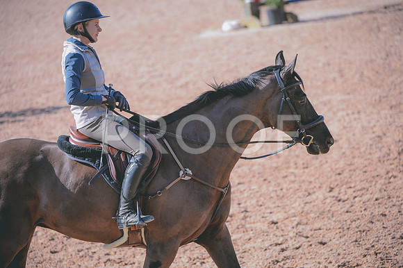 JJS_8443