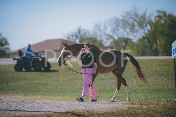 JJS_0547