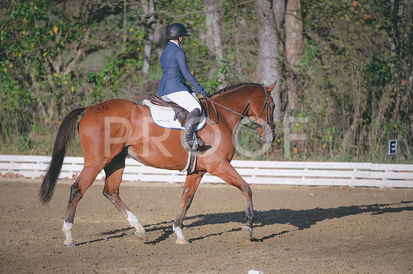 JJS_4972