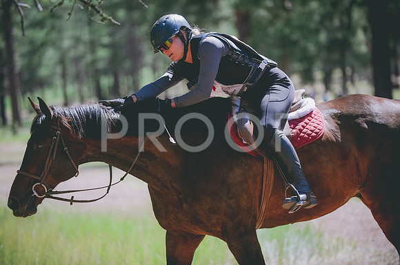 JJS_3706A