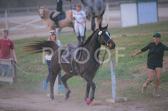 JJS_3837
