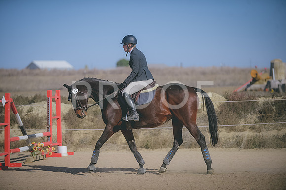 JJS_2668