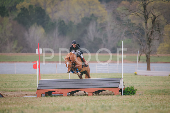RWP_8817