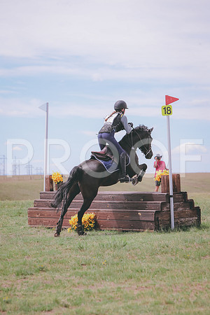 CDH_8917
