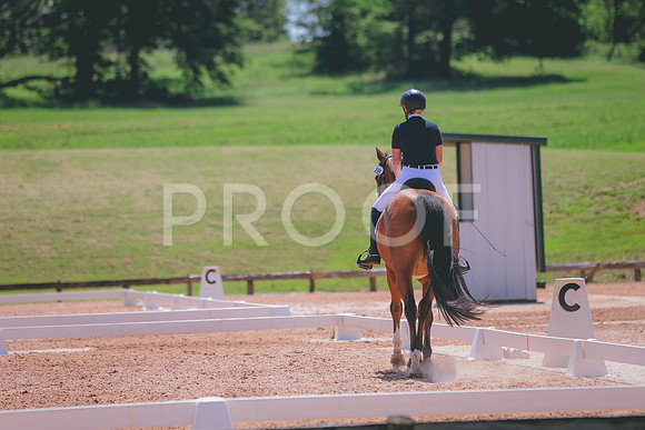 TKP_7668