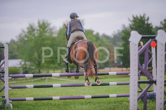 JJS_2015