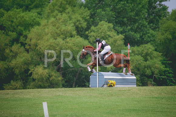 RWP_2279