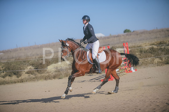 JJS_0194