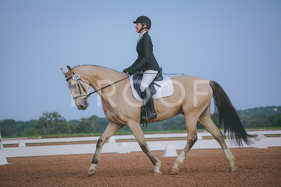 RWP_3733