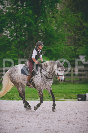 DSC_2019
