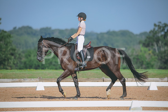 RWP_4653