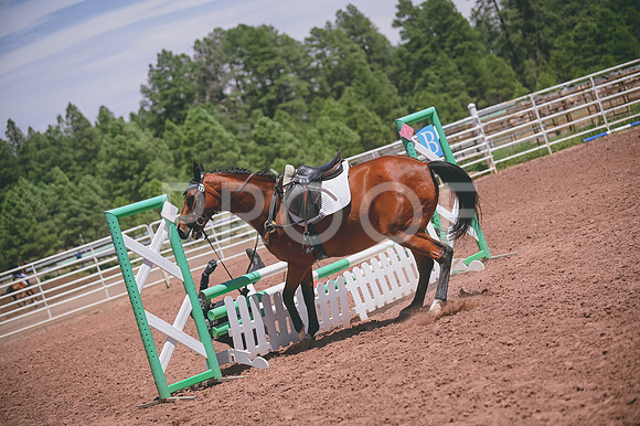 DSC_5345