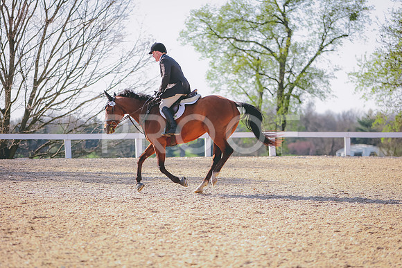 3T5A4866