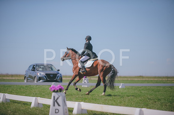 JJS_3338
