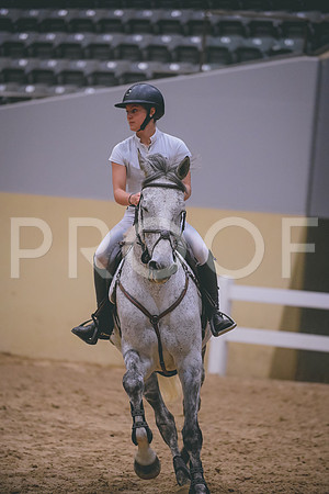 DSC_4567