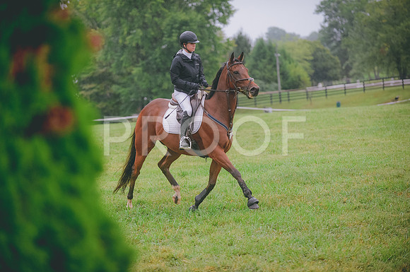 JJS_0433