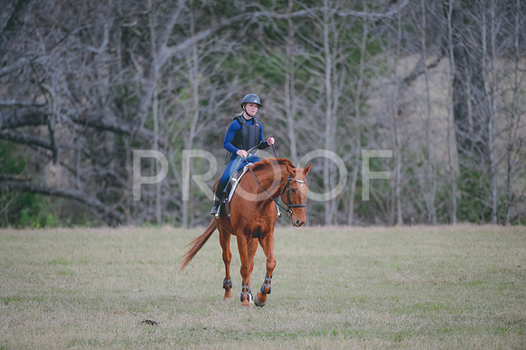 JJS_0406