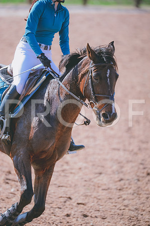 JJS_9025
