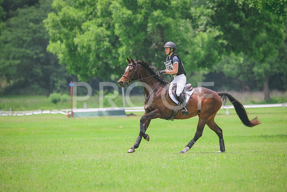 RWP_2649