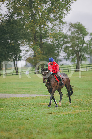 3T5A8835