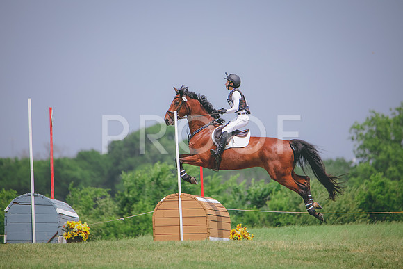 RWP_1584