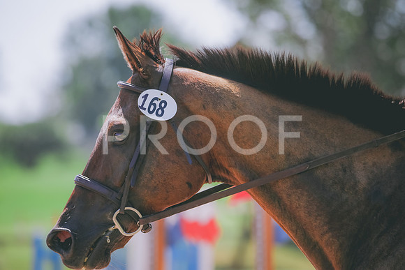 RWP_5484