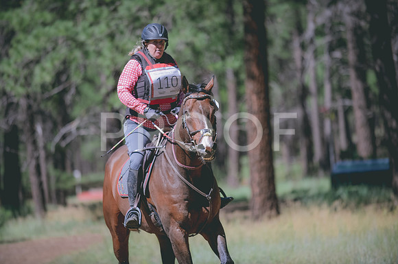 JJS_3981