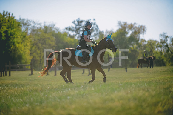 JJS_0448
