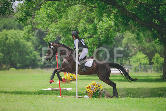 RWP_2565
