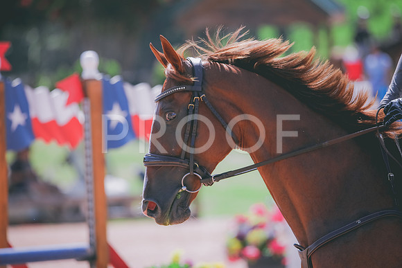RWP_5067